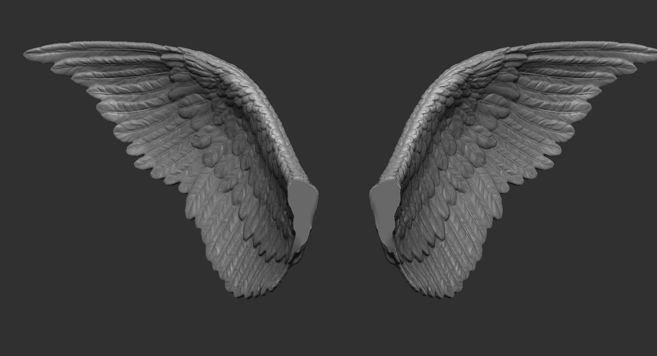 Angel Wings 3d Model Free Download